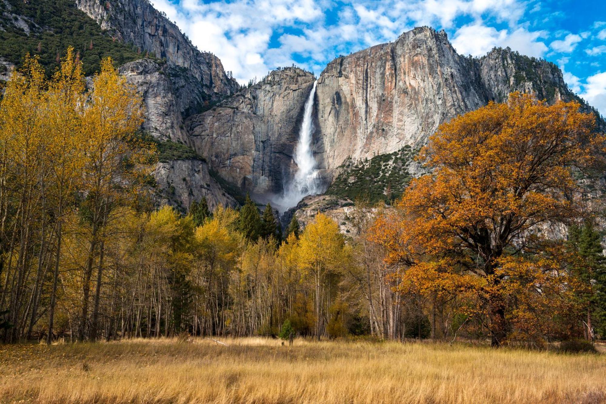Вилла High End A-Frame - Hot Tub - Awesome Views - Yosemite - Electric Vehicle Friendly - Sleeps 10 Окхерст Экстерьер фото
